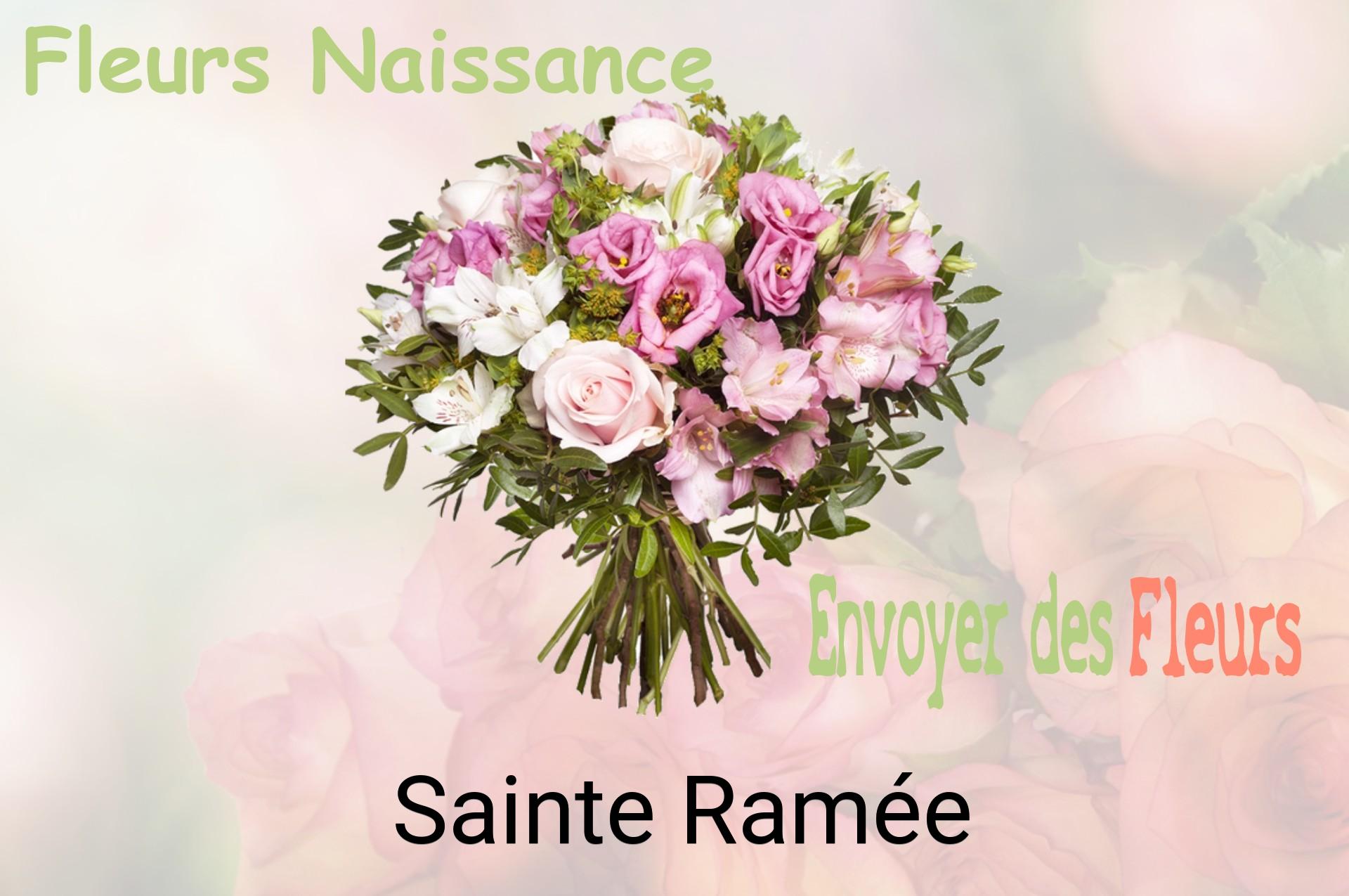 Bouquet de fleurs de naissance livré à Sainte-Ramée